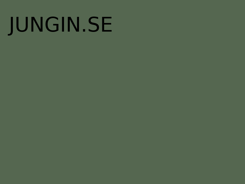 jungin.se